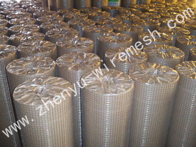 Stainless Steel Welded Wire Mesh